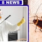 anticimex 3d sanidad ambiental / wisecon estrategia de consolidación