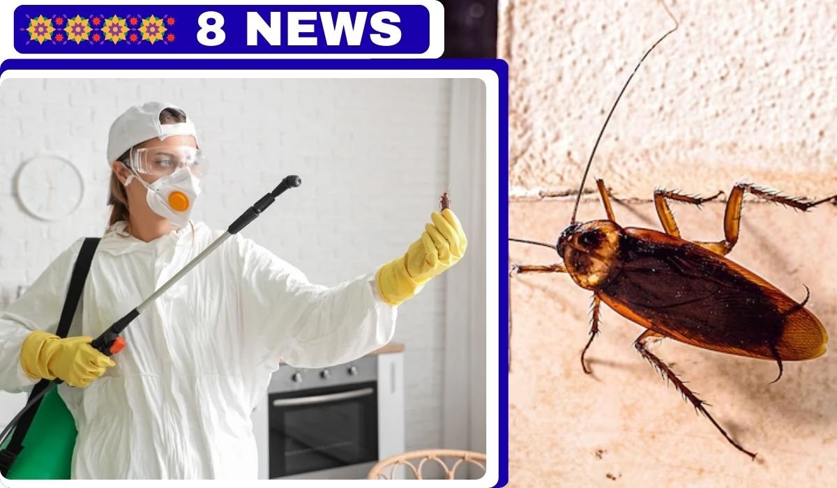 anticimex 3d sanidad ambiental / wisecon estrategia de consolidación